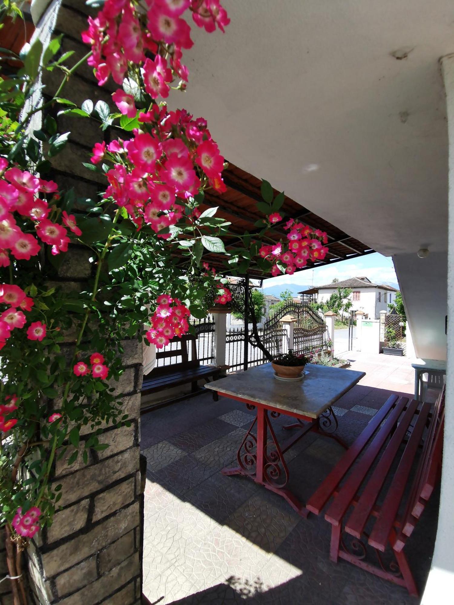 Apartamento Olympia Project / Χώρος Διαμονής Στην Αλμωπία Exaplatanos Exterior foto
